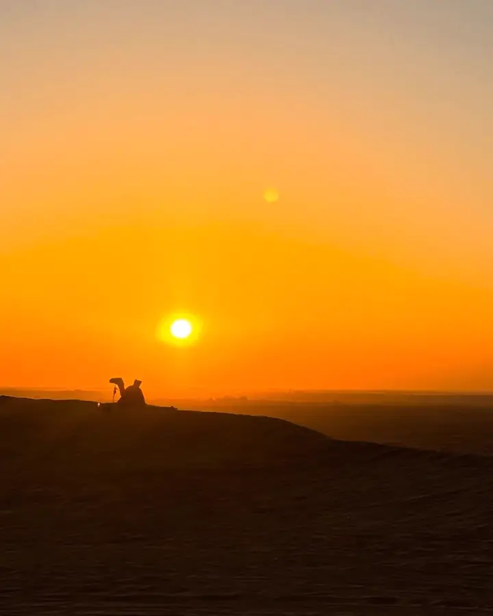 Golden-hour dune buggy drive on a Dubai desert safari — guest photo 9