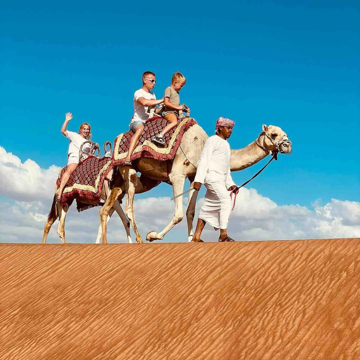 Camel Ride Dubai Tour